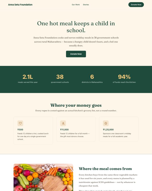 Nonprofit Donation landing page template — preview
